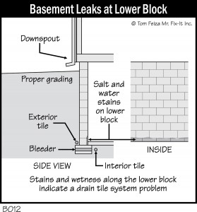 Basement Leaks at Lower Block