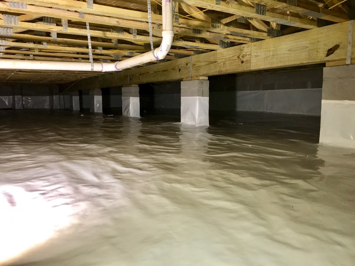 3 Crawlspace Waterproofing Tips to Keep Termites Out