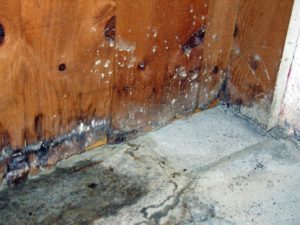 basement-waterproofing-st-francis-wi-accurate-basement-repair-1