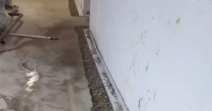 basement-waterproofing-accurate-basement-repair-2