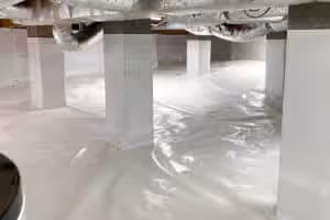Crawl space encapsulation services near Alabama
